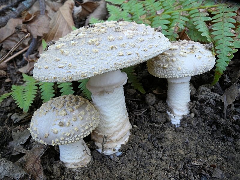 Forse l''ultima bellissima giornata..!!